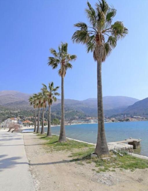 Apartmán Luxury Blue Moon - New *